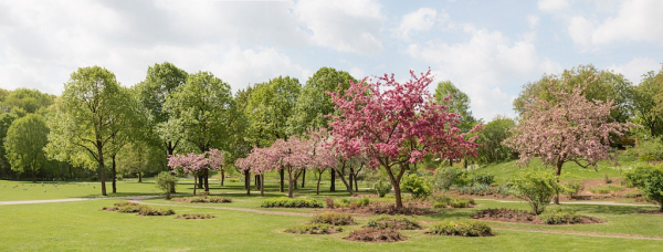 Westpark in München
